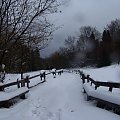 PIENINY- SROMOWCE NIżNE 2006