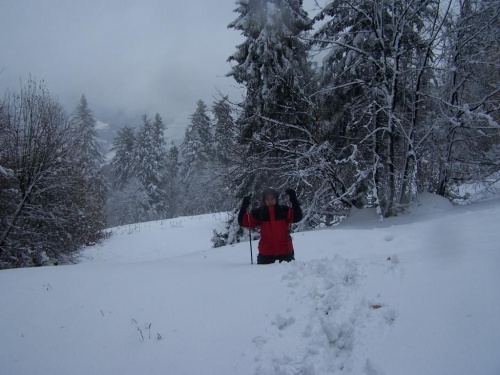 PIENINY- SROMOWCE NIżNE 2006