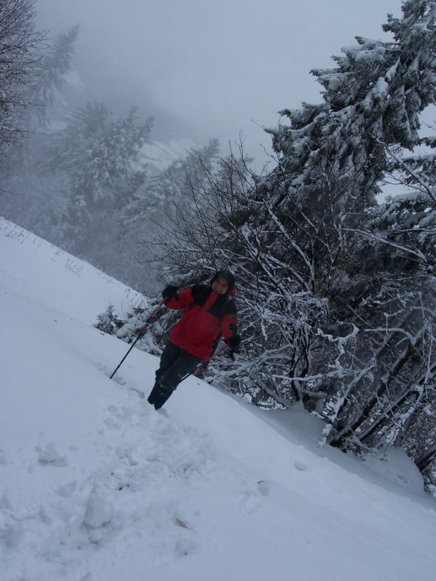 PIENINY- SROMOWCE NIżNE 2006