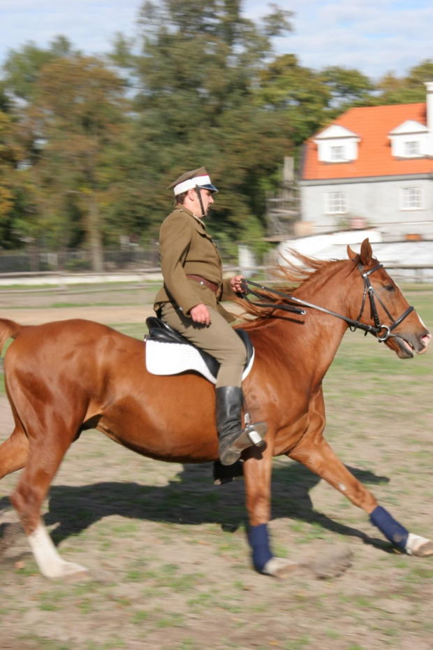 Rocznica Monar Wyszków pokaz jazdy końskiej
www.wyszkow.monar.org