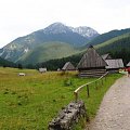 #góry #Zakopane #Tatry