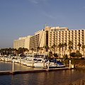 IETF 67