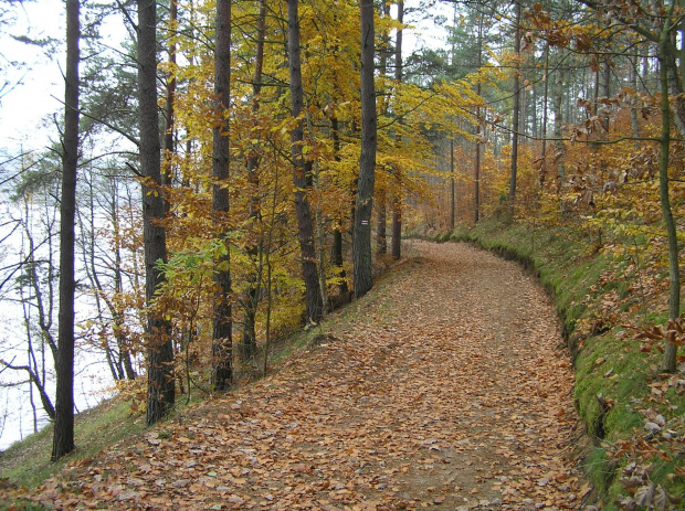 Szlak czerwony nad j. Dąbrowskim