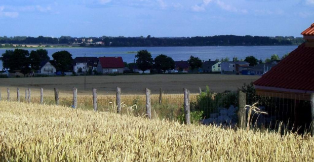 Widok z Powidza na jezioro. W tle na horyzoncie widać kominy z Konina (lewa strona zdjęcia) oraz zaczątki tworzącej się wyspy.