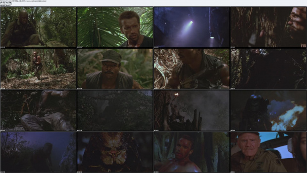 Predator.1987.HDRip.XviD-TLF CD 2