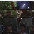 Predator.1987.HDRip.XviD-TLF CD 2