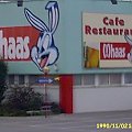 zając-postrach lasu!
