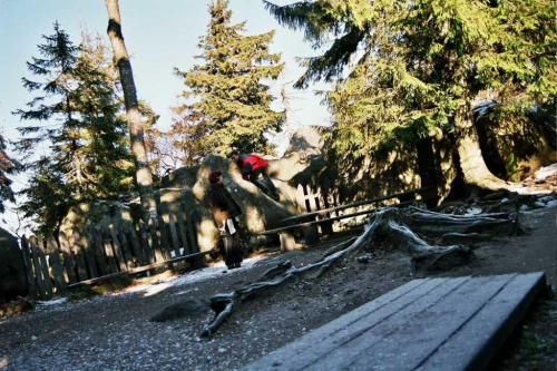 G. stołowe 2003