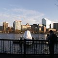 Boston