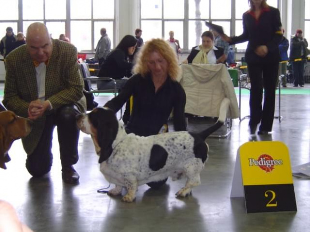 Wszystkie zdjęcia są chronione prawami autorskimi. Zaaz kopiowania w jakiej kolwiek postaci. Kontakt do autora dogzone@interia.pl www.DogZone.pl