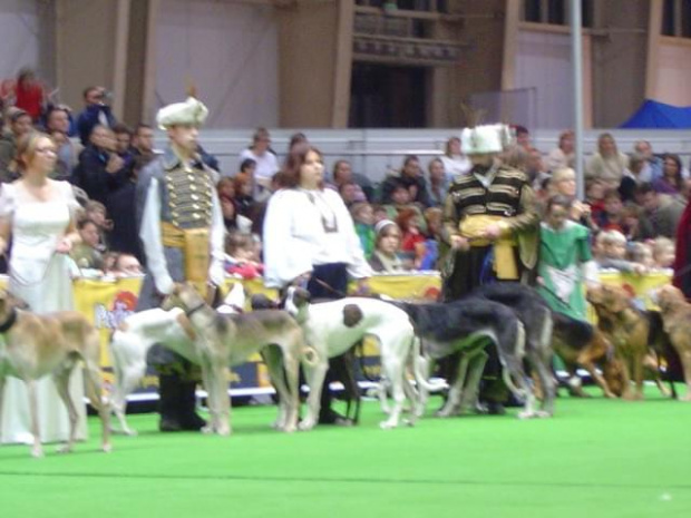 Wszystkie zdjęcia są chronione prawami autorskimi. Zaaz kopiowania w jakiej kolwiek postaci. Kontakt do autora dogzone@interia.pl www.DogZone.pl