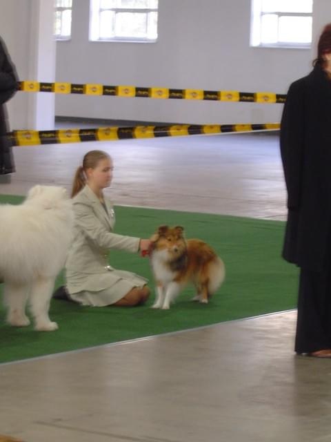 Wszystkie zdjęcia są chronione prawami autorskimi. Zaaz kopiowania w jakiej kolwiek postaci. Kontakt do autora dogzone@interia.pl www.DogZone.pl