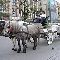 Kraków-maj 2006
