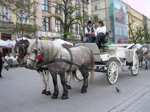 Kraków-maj 2006