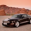 Ford Shelby GT (2007) #Ford #Shelby #auto #samochod #samochód