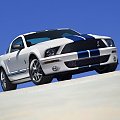 Ford Shelby GT500 (2007) #Ford #Shelby #GT500 #auto #samochod #samochód