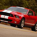 Ford Shelby GT500 (2007) #Ford #Shelby #GT500 #auto #samochod #samochód