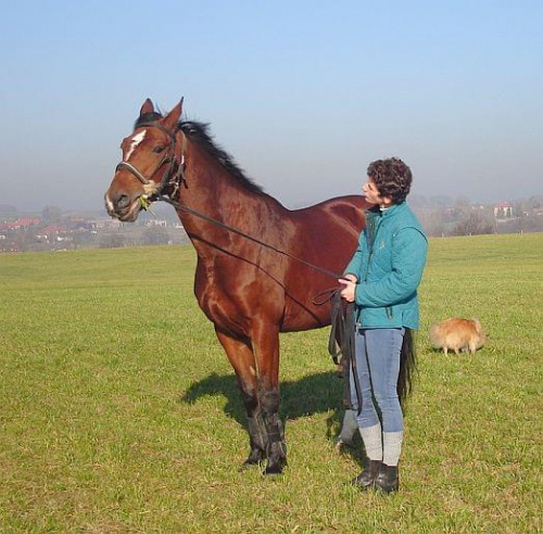 Grecja i .... reszta "stada" :)