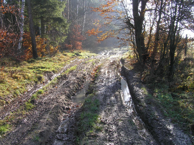 Tak wygląda zielony szlak. 2 km taplania się w glinie.