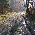 Tak wygląda zielony szlak. 2 km taplania się w glinie.