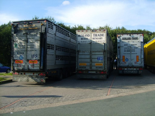 VOLVO FH/HUNGARY