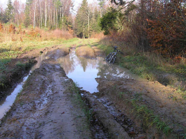 Tak wygląda zielony szlak. Merida prawie się utopiła.