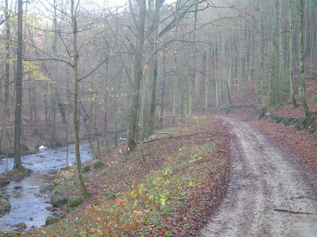 jar Reknicy, miejsce przejazdu GER 01.10.2006. Jesienią to miejsce wygląda inaczej :]