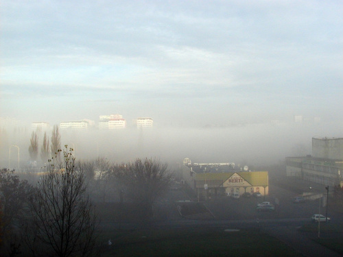 Jesienna mgła #JesieńSzczecin