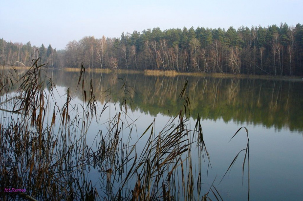 Jezioro Niecponek #JezioroNiecponek #Remes #Rower #PuszczaPiska #Mazury #Pisz