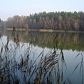 Jezioro Niecponek #JezioroNiecponek #Remes #Rower #PuszczaPiska #Mazury #Pisz