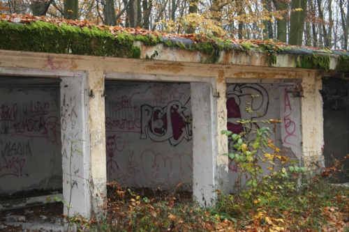 kolejny zdewastowany budynek przyszłego skansenu #PuszczaBukowa #SkansenMilitarny #jesień