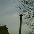 syrena OSP wilkocin