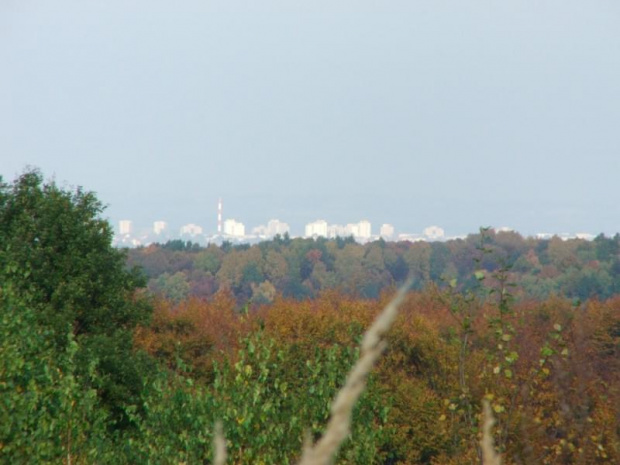 Zamość a właściwie Nowe Miasto z Kasjerówki - tej prawdziwej!