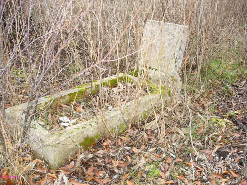 Cmentarz Wilki - Wilkenhof #Wilki #Wilkenhof #cmentarz #Remes #Rower #Mazury #Pisz