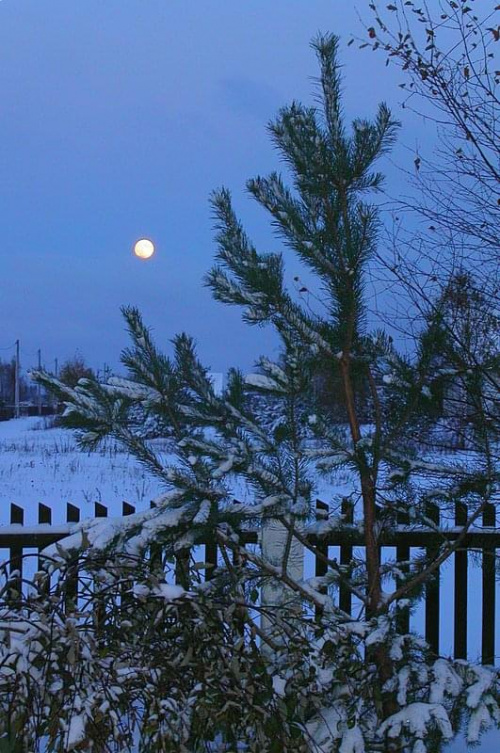 pod wieczór przestaje padać śnieg, W blasku księżyca wszystko zdaje się być niebieskie