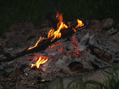 płonie ognisko i szumią knieje