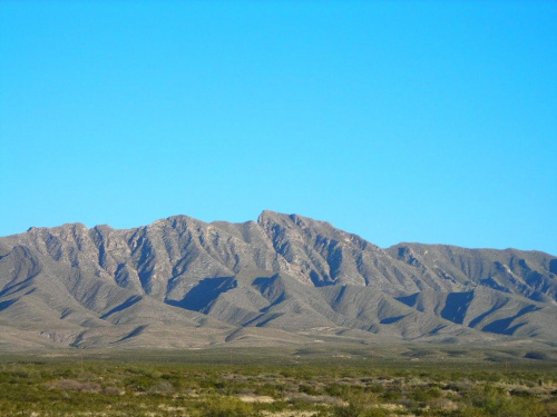 Texas