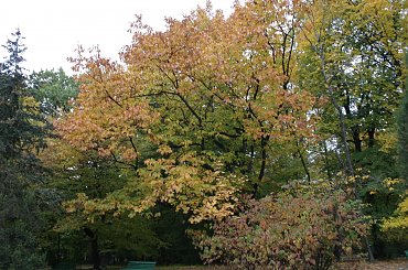 Fotka Tarnowa w nocy #Tarnow