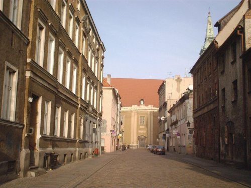 Gdy myśliwi pojechali polować, ja z trzema anglikami pojechałem pokazać im Stare Miasto w Toruniu, słabe zdjęcia, bo nie chciałem ich zostawiac bez opieki i cykałem niedbale... Ale Toruń jest piękny, najlepiej zobaczyć go na własne oczy....