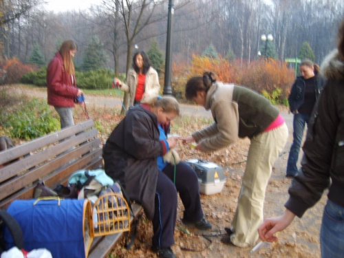 Park chorzowski 19.11.06