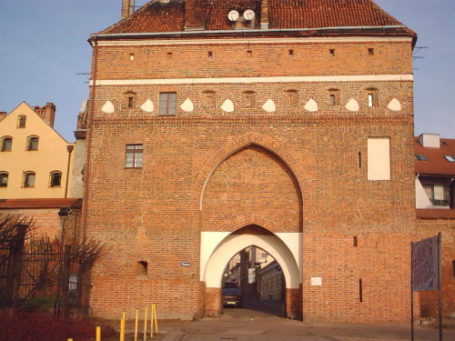 Gdy myśliwi pojechali polować, ja z trzema anglikami pojechałem pokazać im Stare Miasto w Toruniu, słabe zdjęcia, bo nie chciałem ich zostawiac bez opieki i cykałem niedbale... Ale Toruń jest piękny, najlepiej zobaczyć go na własne oczy....