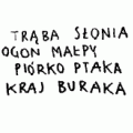 kraj buraka