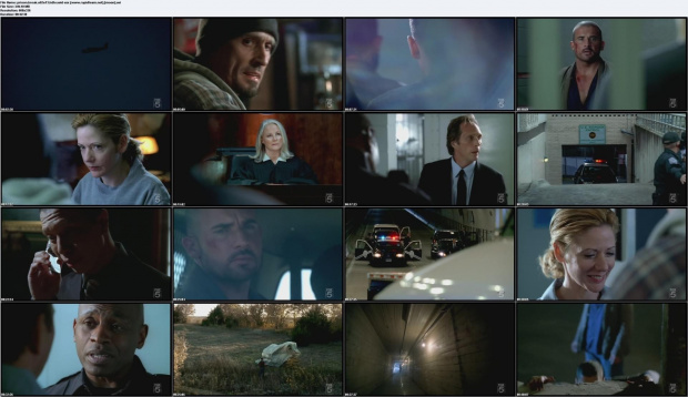 Prison.Break.S02E13.HDTV.XviD-XOR