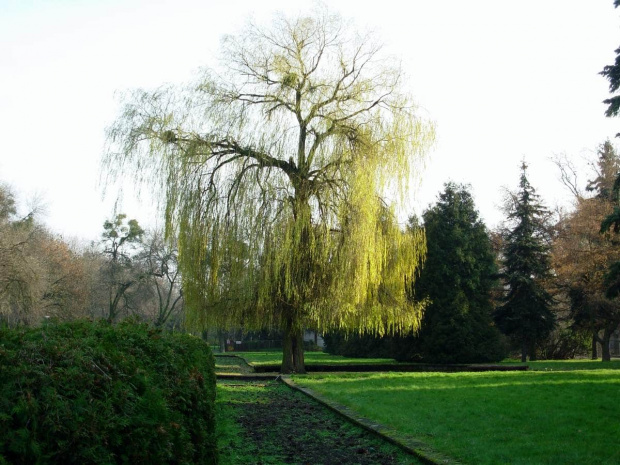 park zdrojowy