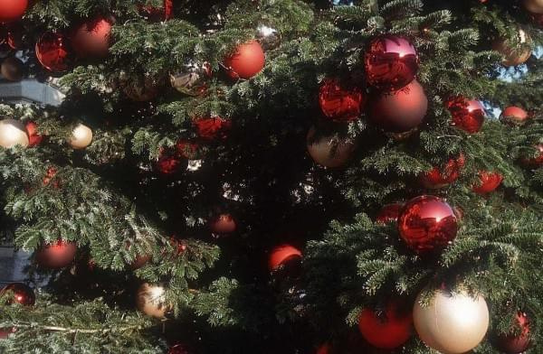 Świąteczna choinka. #choinka #ŚwiątecznaChoinka #bombki #DrzewkoŚwiąteczne #prezenty #DrzewkoBorzonarodzeniowe #sosna #CzerwoneBombki #LampkiChoinkowe #OzdobyChoinkowe