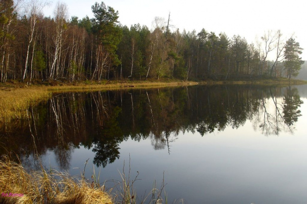 Jezioro Wesołek #Wycieczka #Rower #Remes #Pisz #Ruciane #Mazury #Breyt