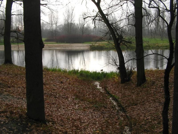 Widok na "Martówke" #park #BydgoskiePrzedmieście #Toruń