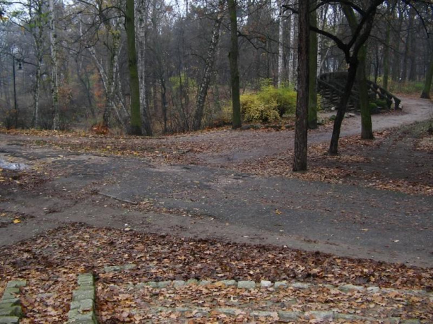 #park #BydgoskiePrzedmieście #Toruń