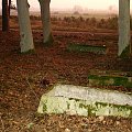 Cmentarz w Maldaninie #Cmentarz #Maldanin #Rower #Remes #Pisz #Mazury