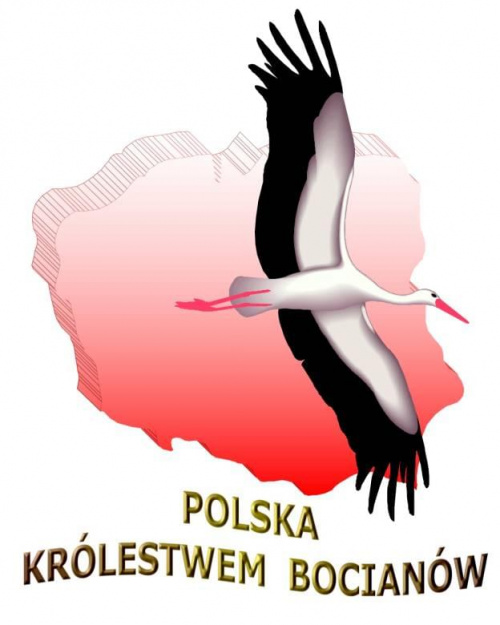 Wizerunek bociana z gazetki szkolnej Gimnazjum nr 1 w Sokółce #logo #SymbolikaBociana #WizerunekBociana
